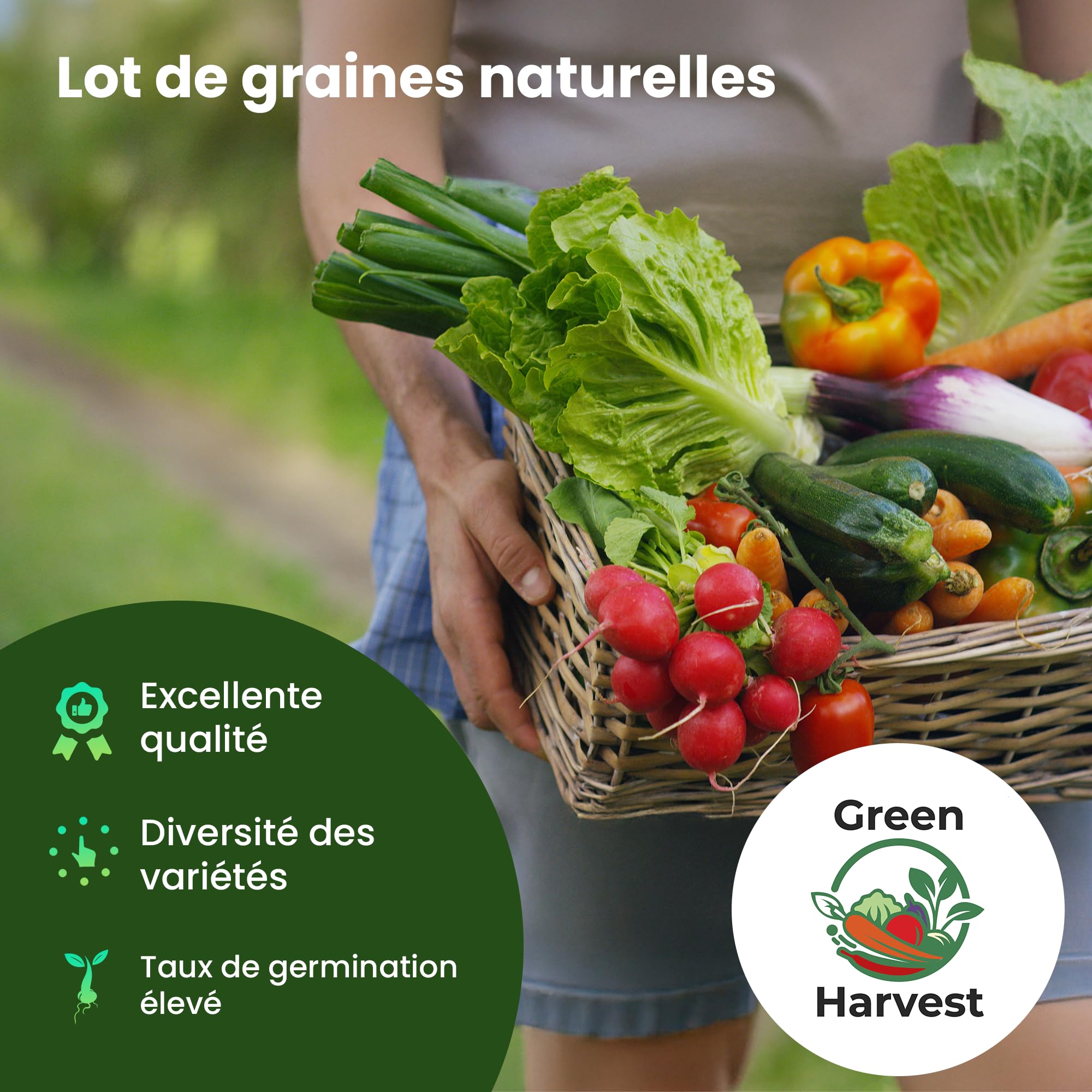 TORAF Kit de Graines de Légumes 12 Variétés – Graine Premium pour Jardin, Balcon et Potager – Tomates, Concombres, Courgettes, Salade, Carottes, Ciboulette – Kit de culture de plantes potagères - 2