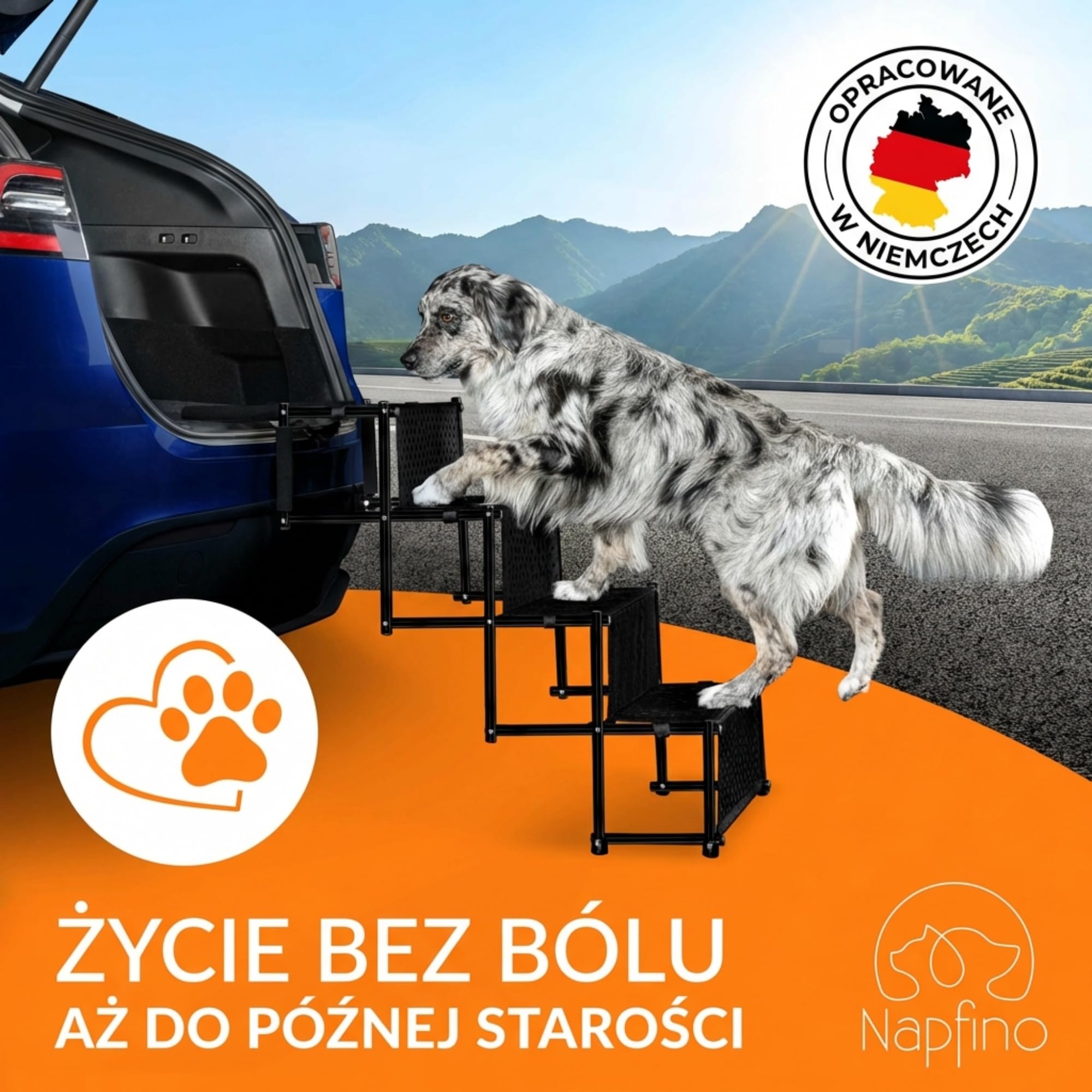 Samochodowa rampa dla pies (do 60 kg), chroniąca stawy, składana rampa do wchodzenia do samochodu, nadaje się do wszystkich modeli