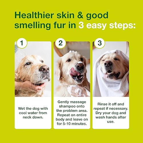 Miniatura 6 de Champú DOUXO S3 SEB, contiene 0.5% de Ophytrium, control de olor y seboregulador, para piel grasa a escamosa, seborrea, para perros y gatos, 6.7 fl.