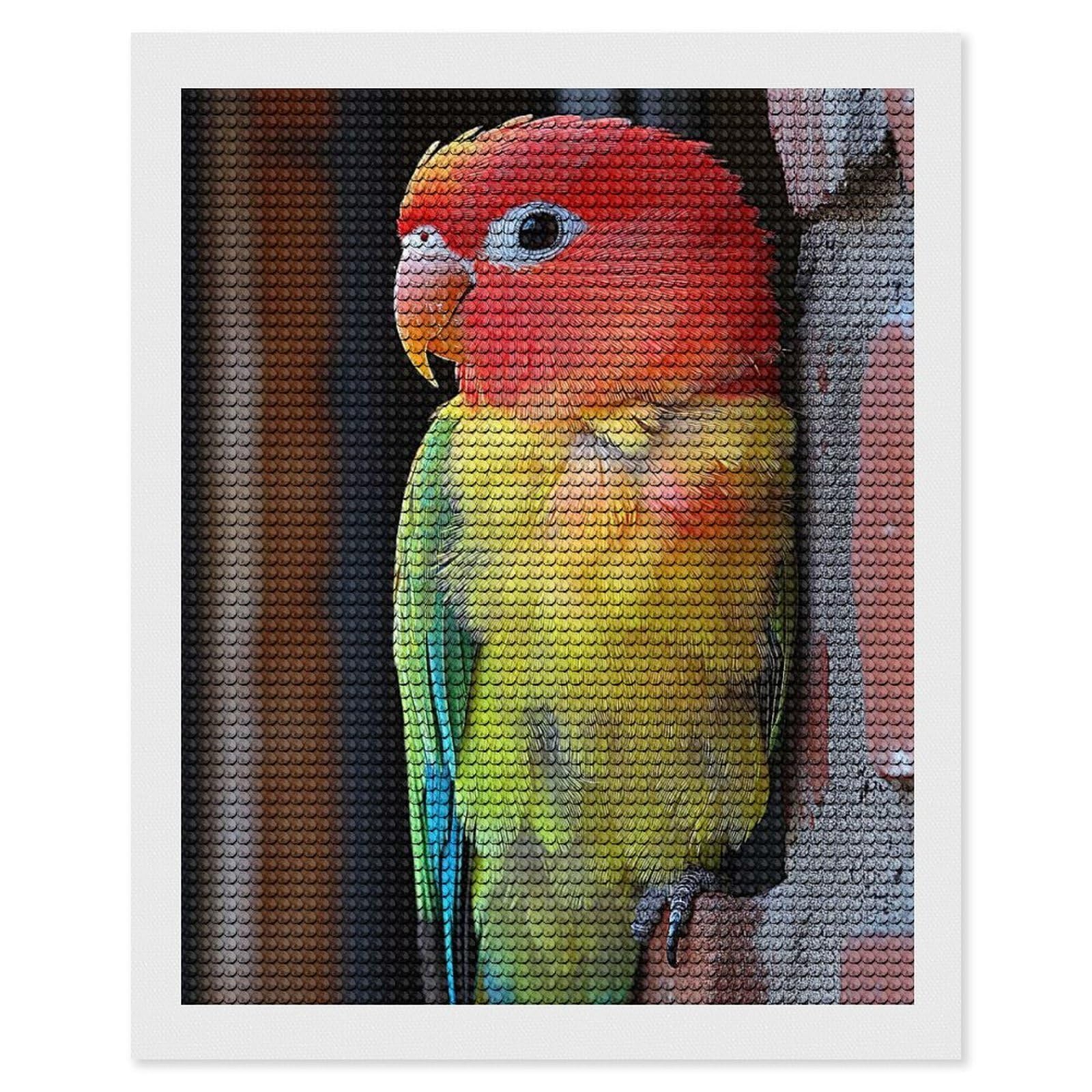 Junmoney Colorful Lovebird Portrait 5D Diamond Painting Kit 16"x20", Relaxing DIY, Mindful Craft Project, Full Kit Included, Thoughtful Present