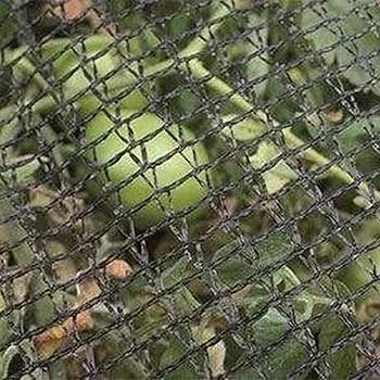 ネット　５，９ｍ×５，４ｍ SPOT M12 to RJ45 Digital Cable