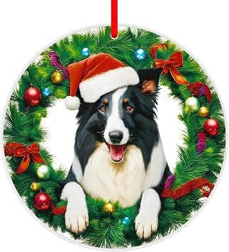 FaCraft Border Collies Ornaments Gifts for Women Dog Lovers - Border Collie Christmas Ornaments 2025 Puppy Ornament for Christmas Tree Decorations Xmas Tree Decor Dog Mom Dad Keepsake Gifts