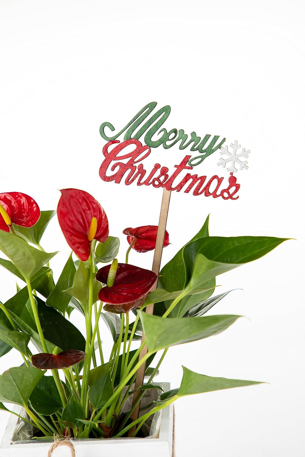 Merry Chirstmas Centerpiece Sticks l Sign Picks for Flower Arrangement l Merry Christmas Wooden Cake Topper (5"x 15", Pack of 12) PK2023XM2
