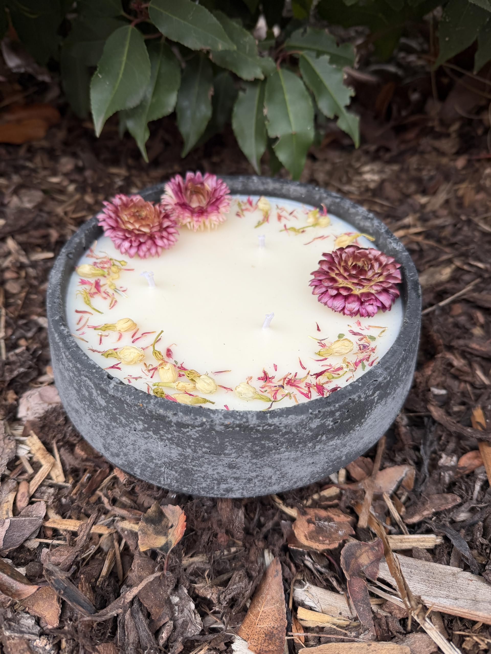 XL Betonkerze "Big Bloom" (Ø 18cm) | Handgegossene 3-Docht Sojawachs Kerze | Mit echten rosa Blüten | Vegan & Nachhaltig | Made in Germany (Frühlings-Deko & Geschenk) (Citronella)