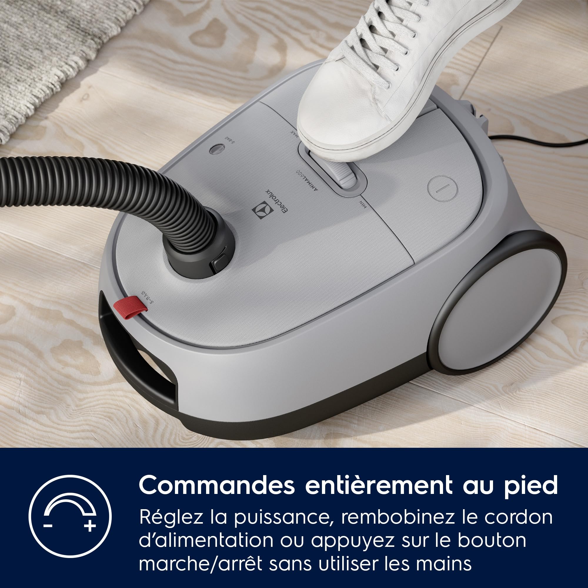 Electrolux 600 Aspirateur traineau avec Sac, Kit pour Poils d'animaux, 1x Filtre Hygiène HEPA 12 Lavable, Cordon 12m XXL, EB61A5UG, Gris
