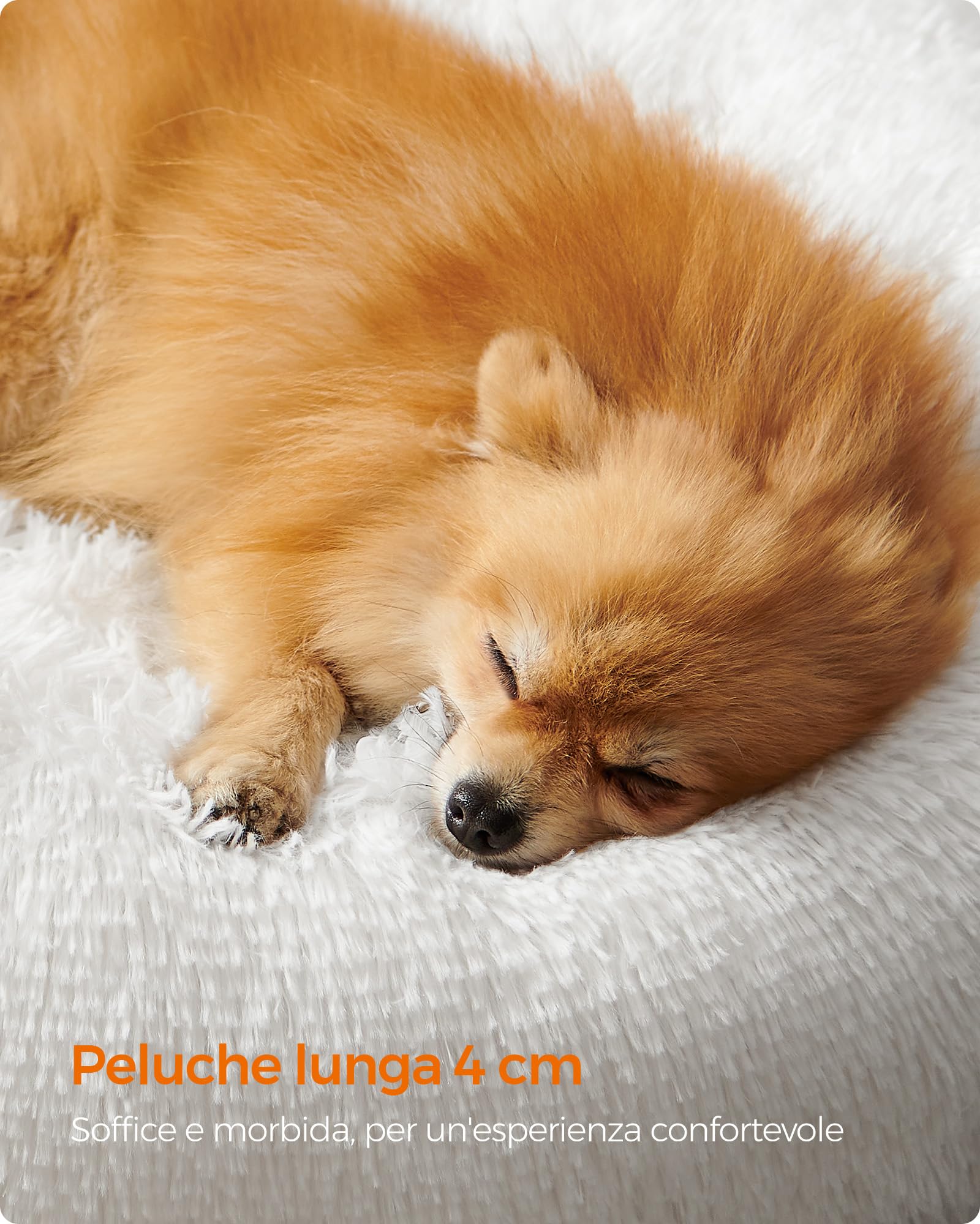 Feandrea Cuccia Cane Interno, Cuccia per Cani, Lettino per Animali Domestici a Ciambella, Cuscino Sfoderabile e Lavabile, Tappeto di Peluche, Diametro 60 cm, Bianco Nuvola PGW038W01