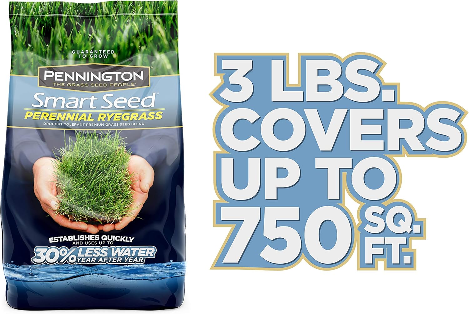 Pennington Smart Seed Perennial Rye Grass Seed, 3 lb