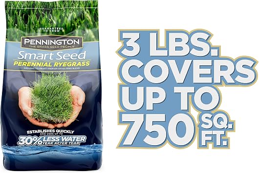 Pennington Smart Seed Perennial Rye Grass Seed, 3 lb