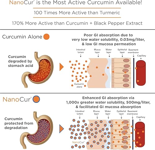 Miniatura 4 de Nanocur Curcumina de cúrcuma - 100 veces más activa que la cúrcuma. Curcumina orgánica