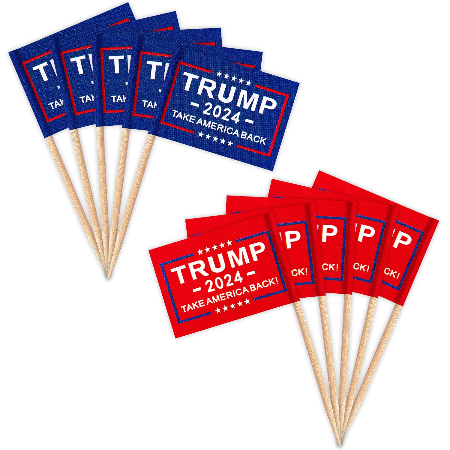 Amazon.com : ZXvZYT Trump 2024 Flag Take America Back Flag