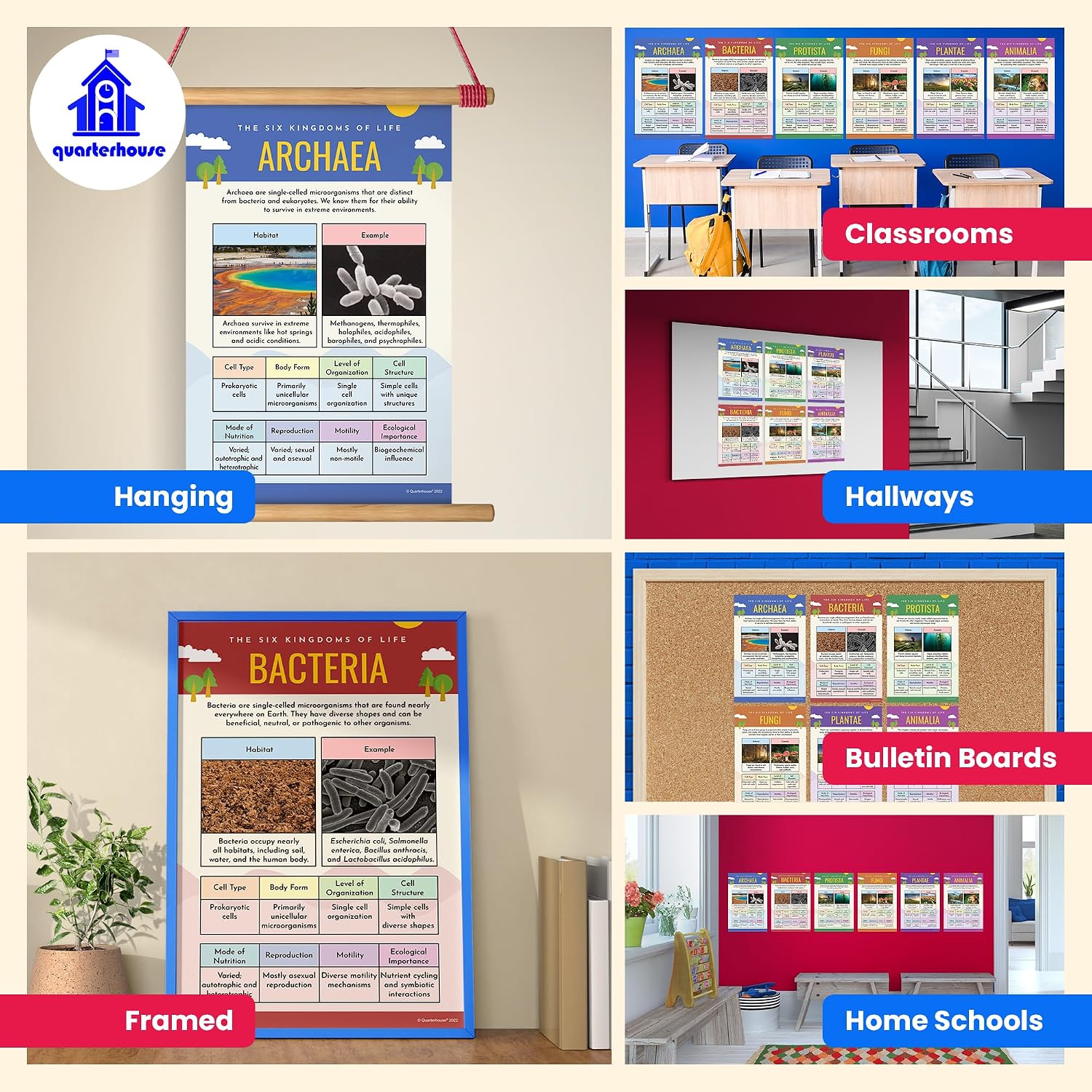 Quarterhouse 6 Poster Six Kingdoms of Biology Set, Science Classroom Learning Materials for K-12 Students and Teachers, 12 x 18 Inches, Made in USA