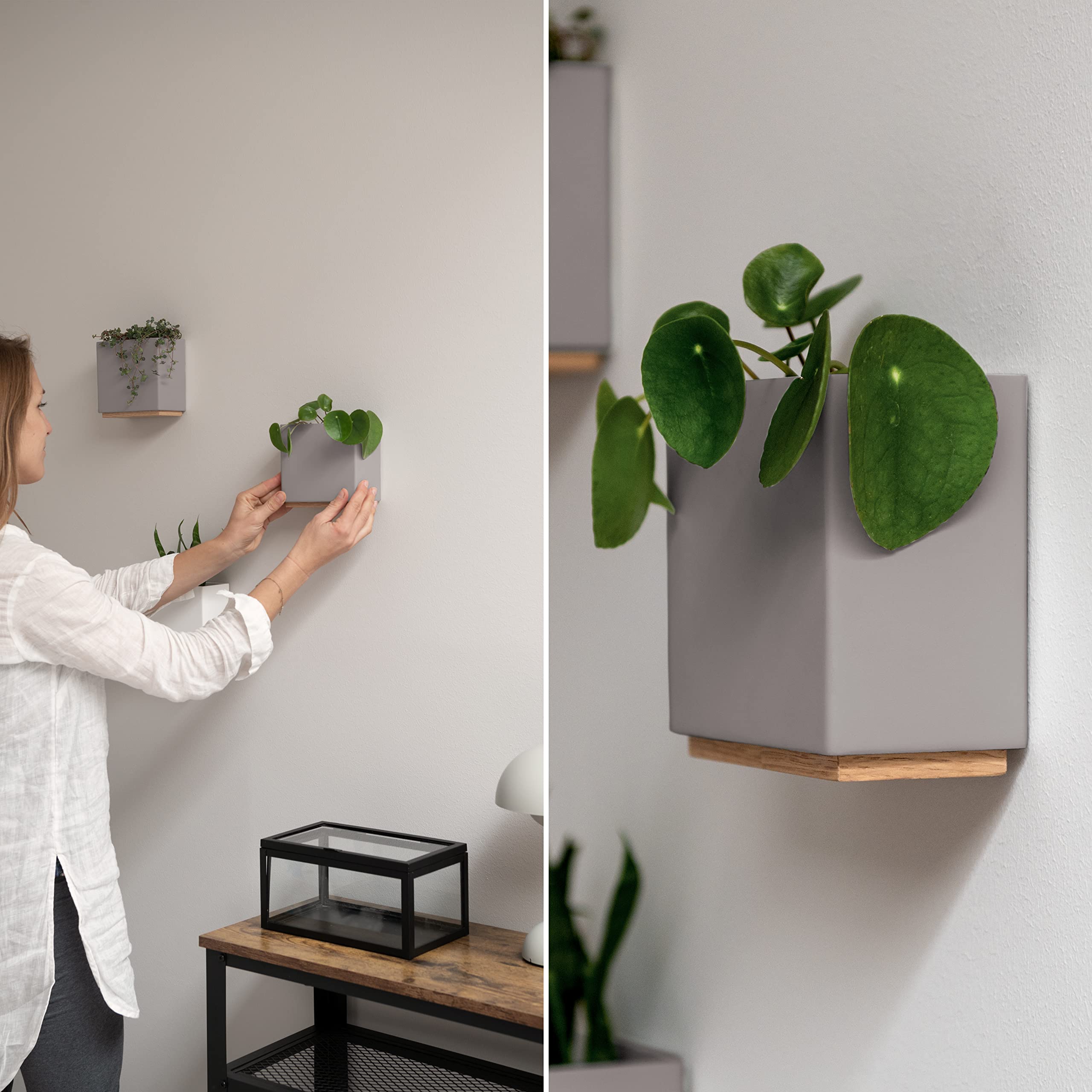 Kazai. Jardineras de Pared -Alma- | 3 Macetas Colgantes Modernas de Resina | Set de Porta Plantas para Plantas de Interior, Plantas Artificiales y más | Gris Pardo