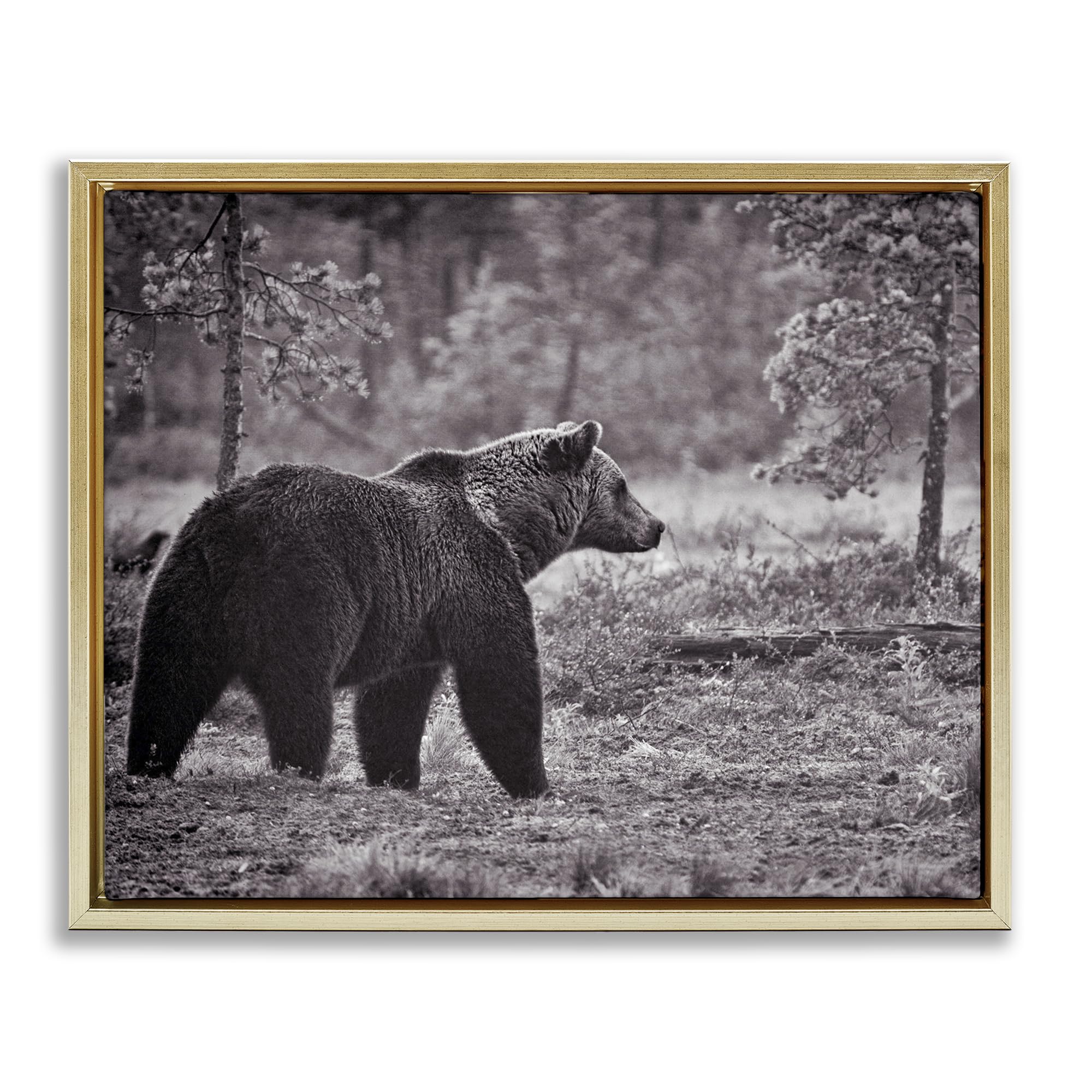 Cuadro de oso en el bosque de Stupell Industries lienzo enmarcado rústico