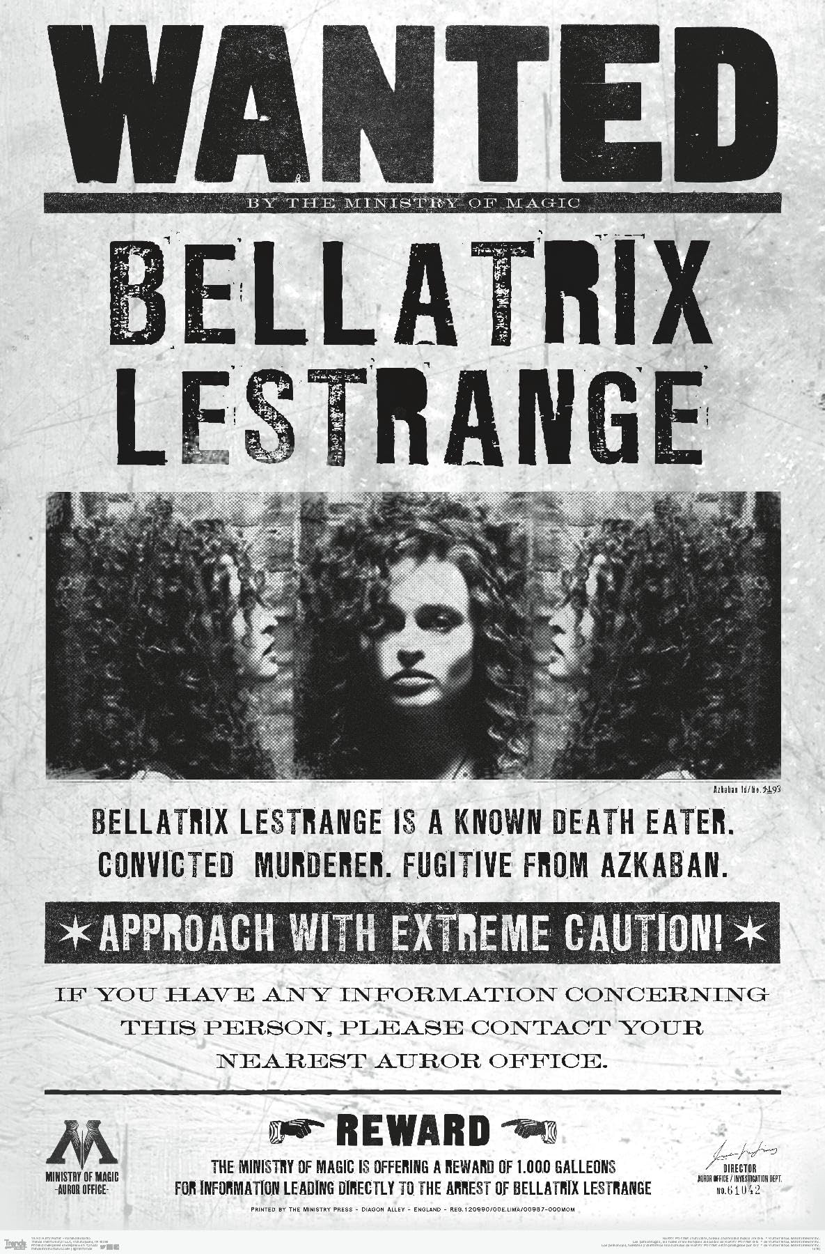 Trends International The Wizarding World: Harry Potter - Bellatrix Wanted Poster Wall Poster, 22.375