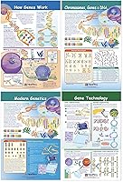 Vista 1 de NewPath Learning - Juego de 4 tablones de anuncios de cromosomas 94-7002