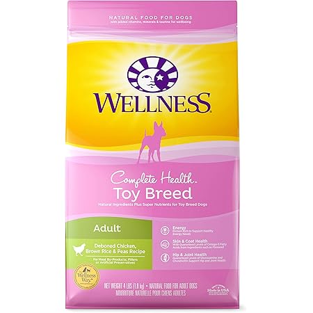 personalised collars