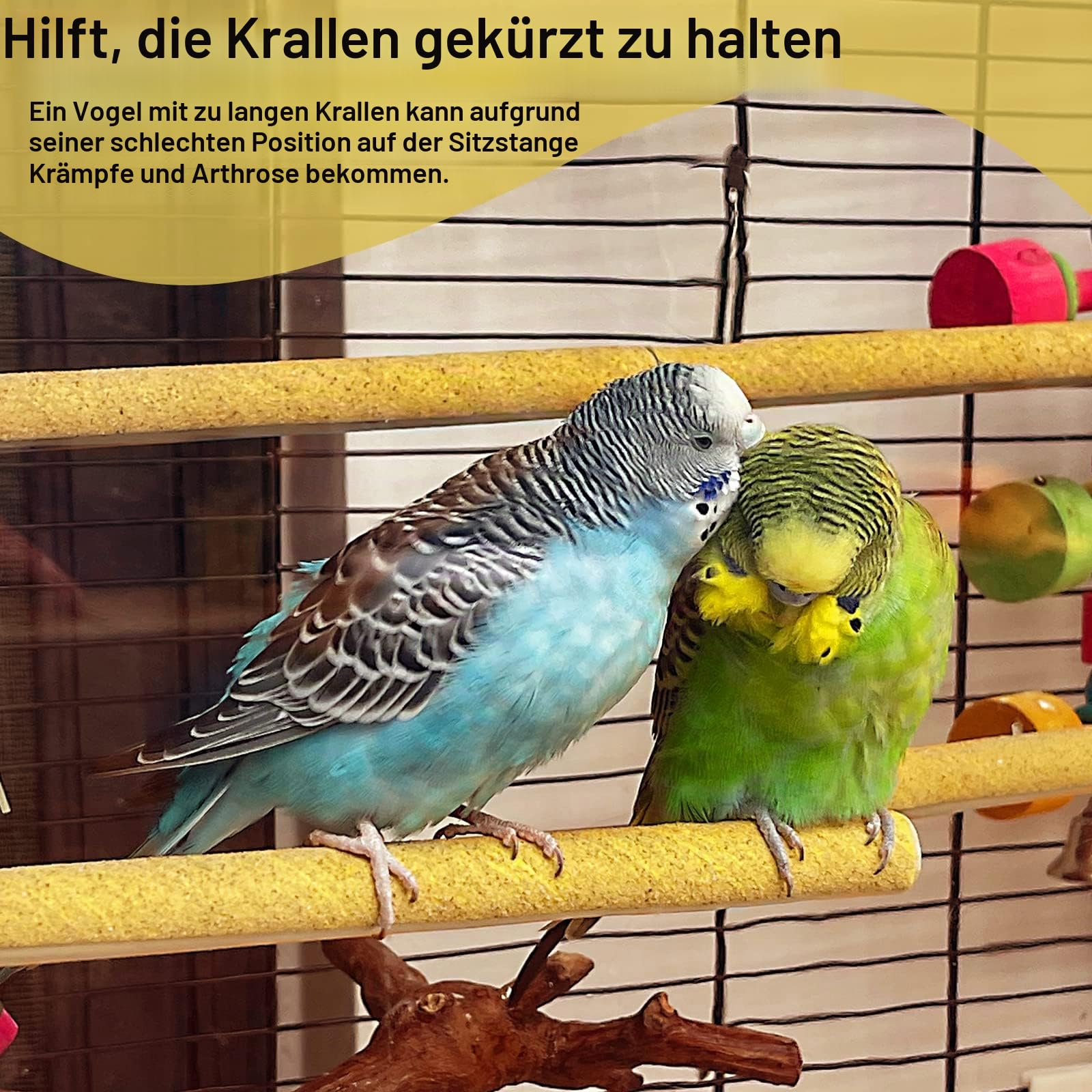 S&X 12 x große, geschliffene Sitzstangenabdeckungen für Sittiche, Lovebirds, Papageien, Finken, Kanarienvögel, große Sitzstangenabdeckungen, 1,9 cm Durchmesser x 22,9 cm Länge
