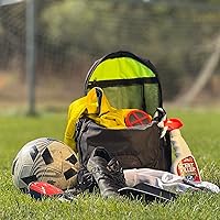 Vista 6 de Equipos Deodorizer Pucks – Desodorizador de equipo deportivo sin perfume que combate el olor y la humedad, control de olores para patines, zapatos