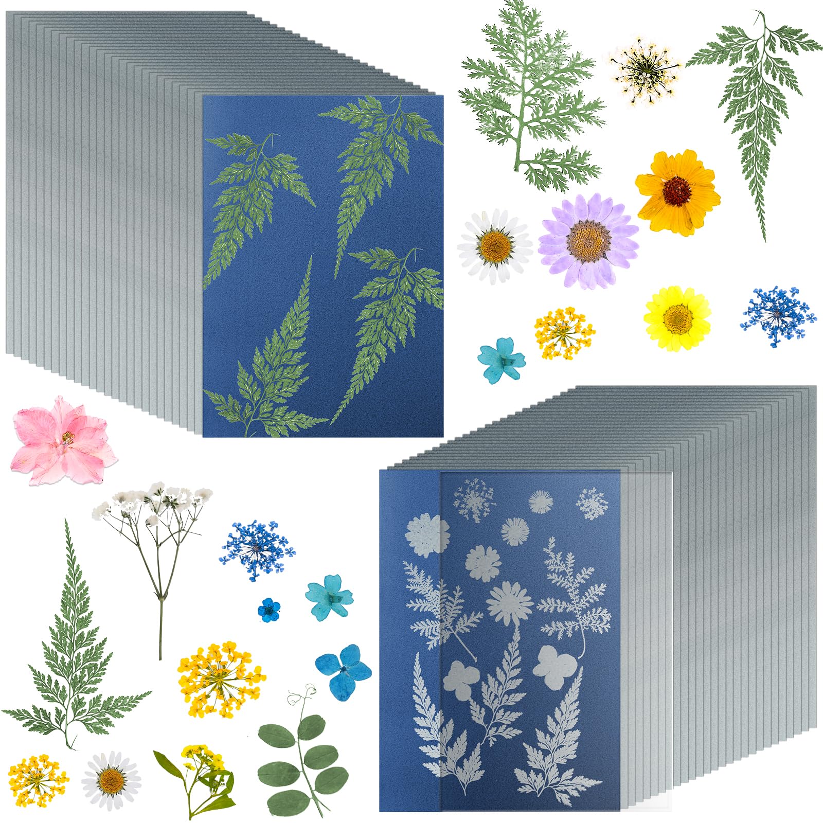 38 Sheets Cyanotype Paper A4 Sun Print Paper Kit with 1 Clear Acrylic Sheets, High Sensitivity Solar Drawing Paper Nature Sun Printing Paper for Adults Kids DIY Arts and Crafts Project, 5.8 x 8.3 Inch