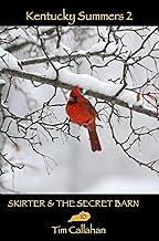 Skirter & the Secret Barn (Kentucky Summers 2 Book 10)