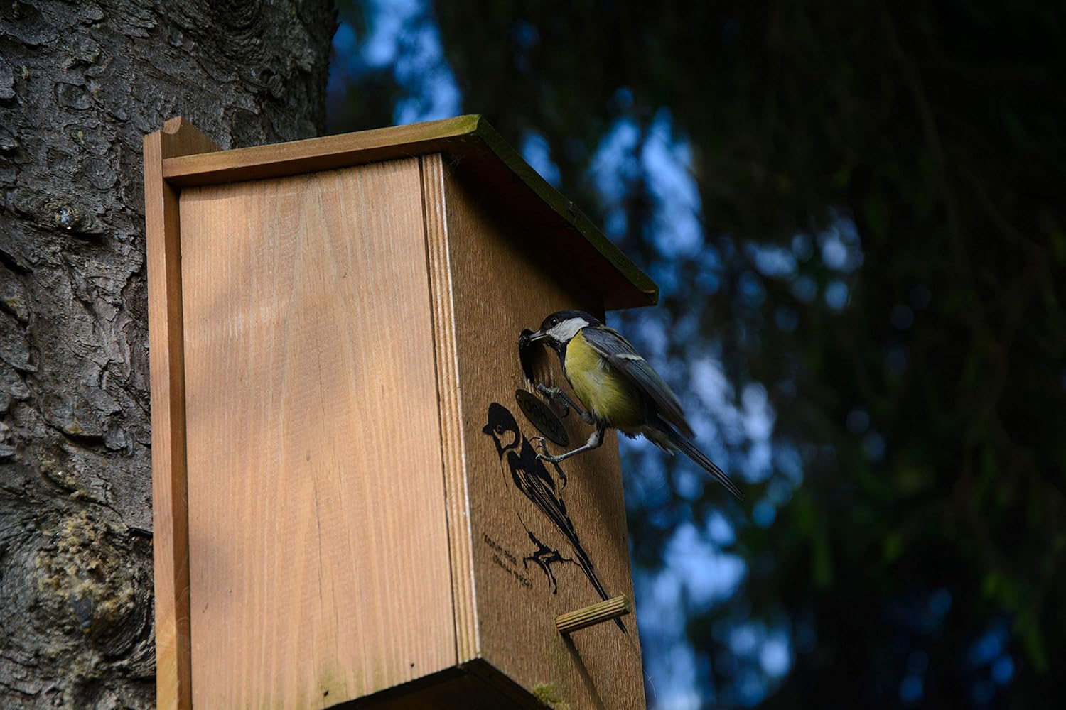 Nesting Box with Screen Printed Motif Great Tit