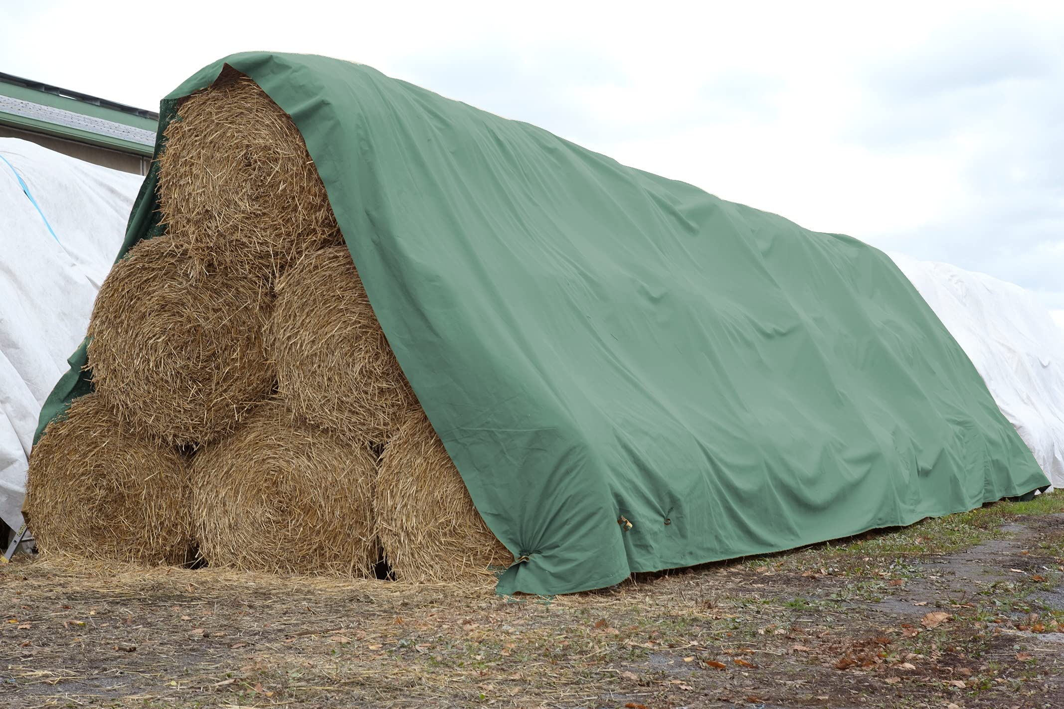 Böck TOPvlies Strohvlies 10,4 x 12,50 m I Stabiles 140 g/m² Schutzvlies I Extrem reißfestes Heuvlies für langfristigen Schutz I Abdeckvlies wetterfest & UV-beständig