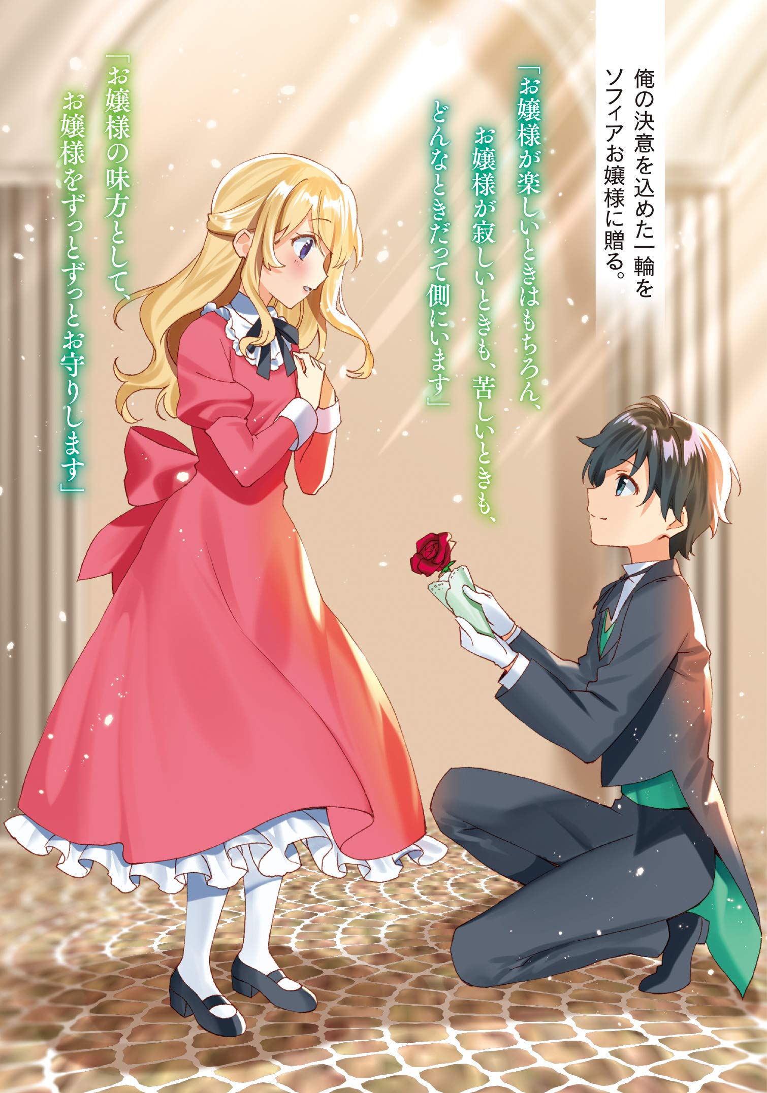 悪役令嬢の執事様 破滅フラグは俺が潰させていただきます ドラゴンノベルス Amazon Co Uk Books