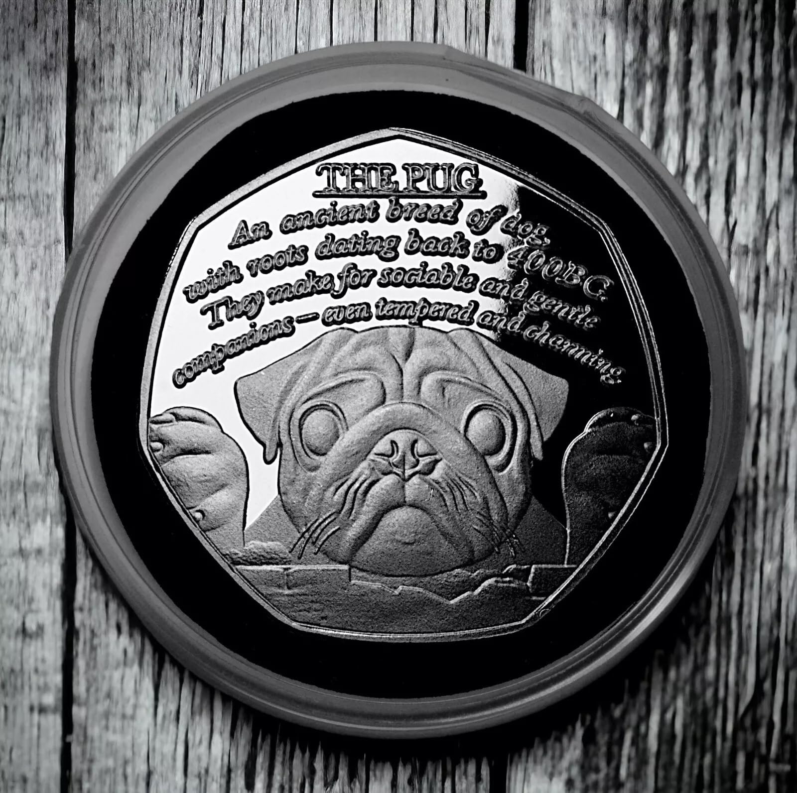 The Commemorative Coin Company Silver 'The Pug' Commemorative In Capsule. Favourite Dogs Series. Pug Lover. Puppy/Pup/Dog