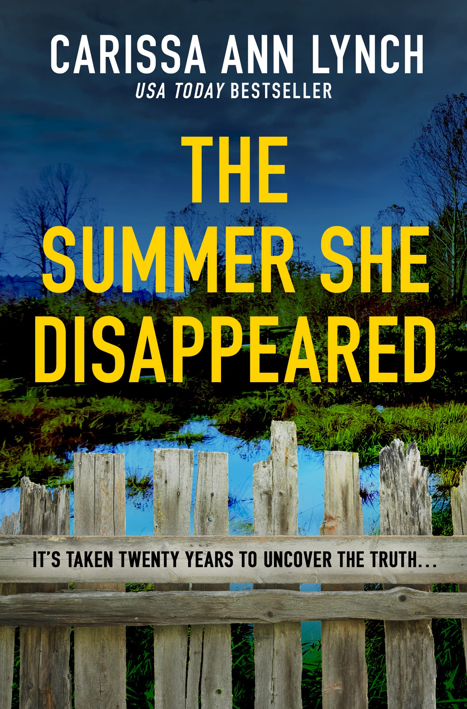 The Summer She Disappeared by Carissa Ann Lynch (Paperback Book)