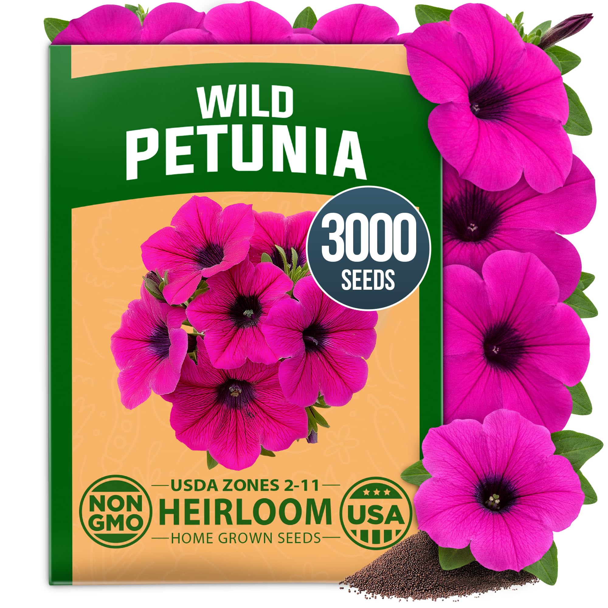 HOME GROWN Wild Petunia 3000 Flower Seeds Petunia violacea