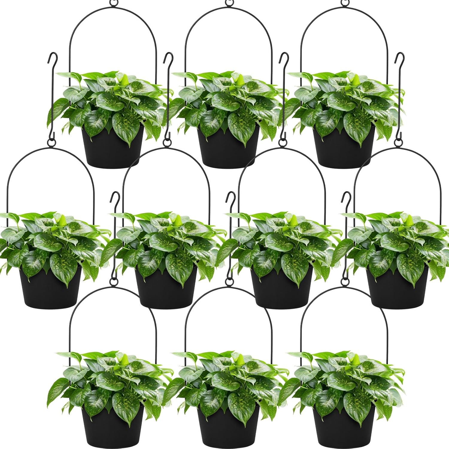 Hushee 10 Packs Metal Hanging Planters for Outdoor Indoor Plants Plant Hanger with 6.3'' Plastic Pots Hanging Planter Basket for Garden Home Porch Decor (Black)