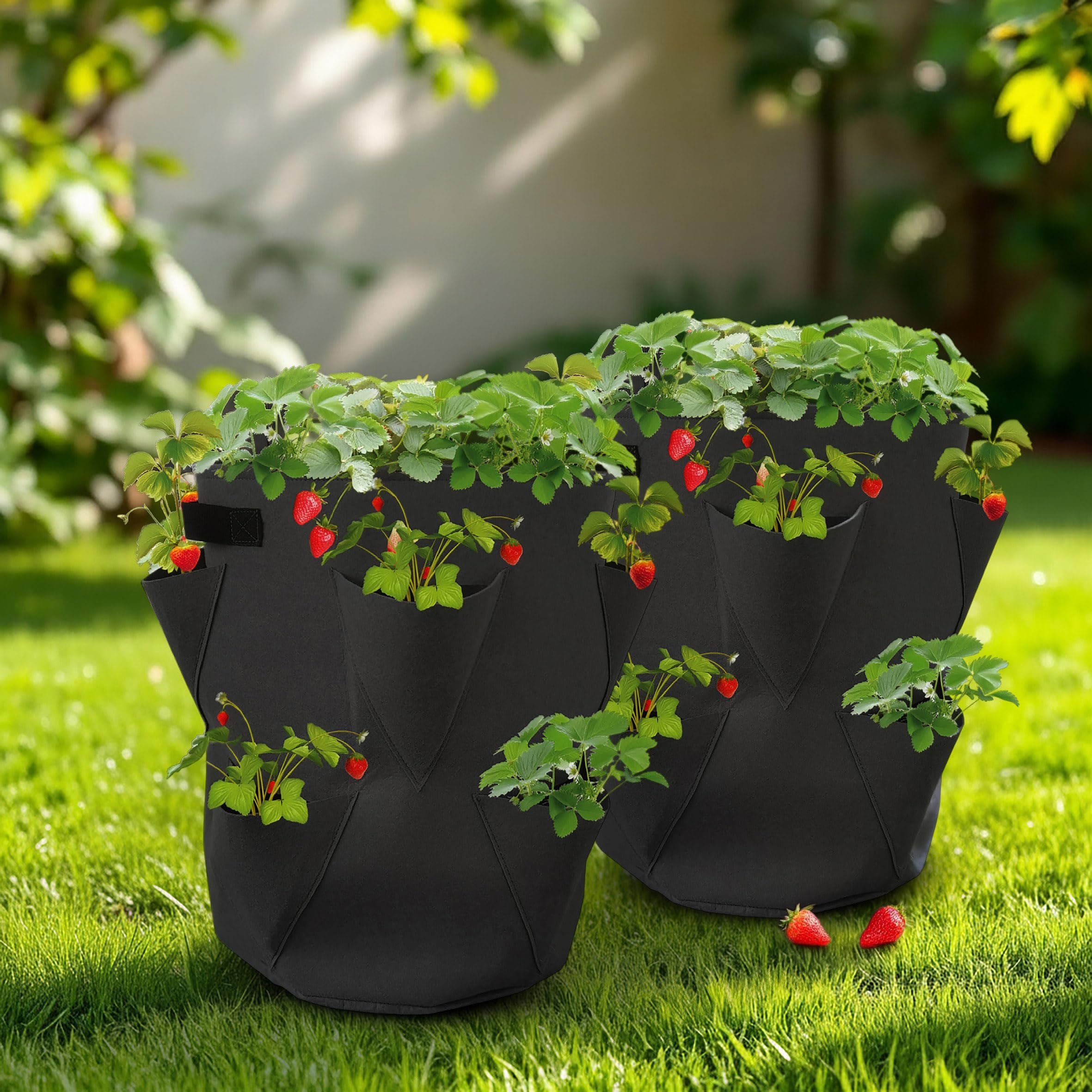 Spetebo Worki na rośliny truskawkowe, zestaw 2 szt. z filcu - 45 x 35 cm - worki na truskawki i małe warzywa - do ogrodu, na balkon, worek na rośliny, worek na truskawki, czosnek, cebulę, zioła