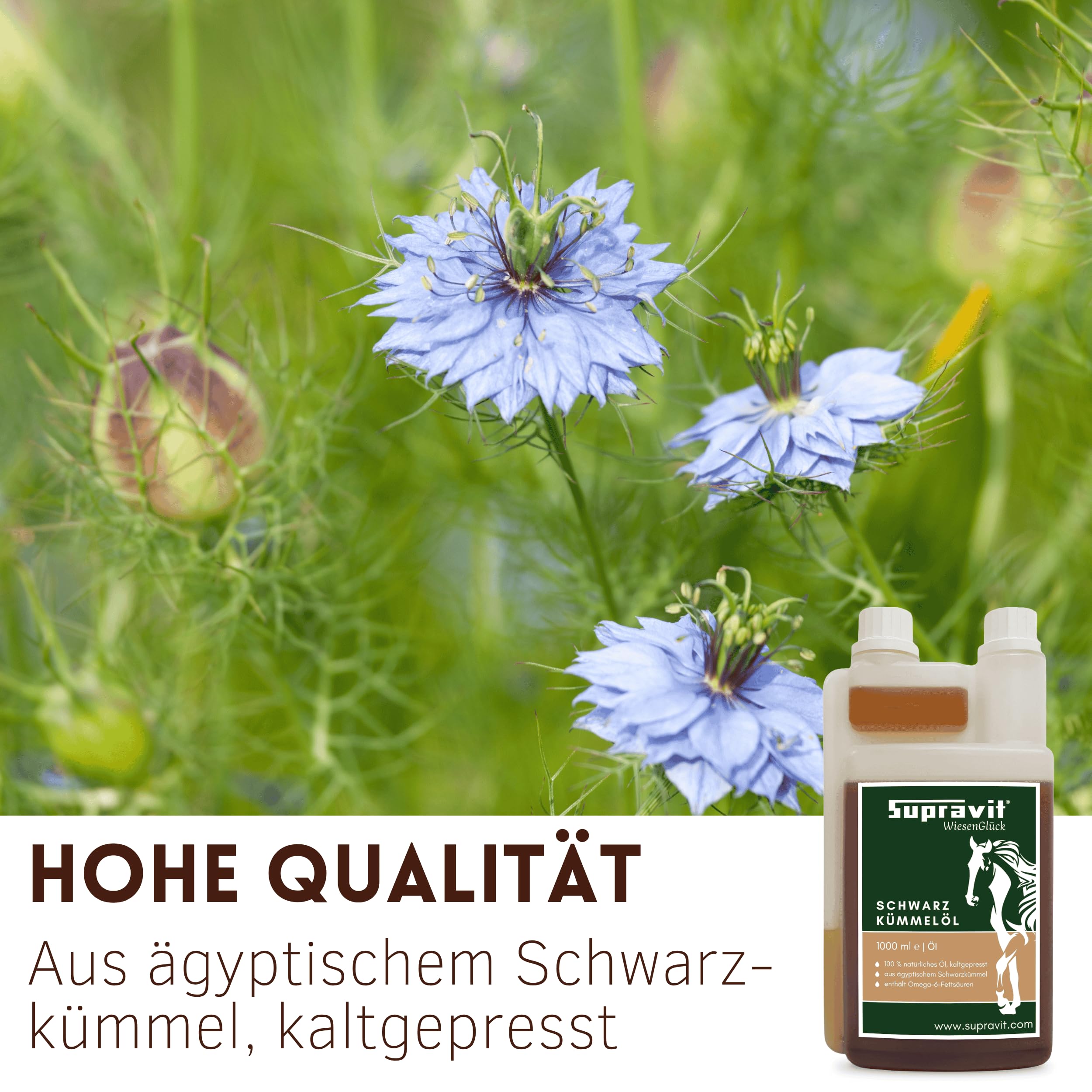 Supravit Schwarzkümmelöl für Pferd & Hund 1L