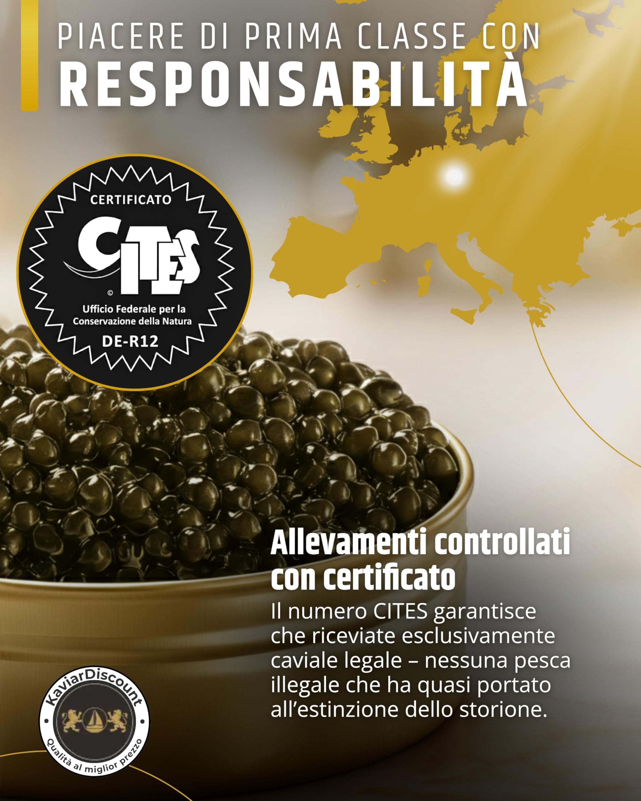 Sepehr Dad Amur Beluga Storione Caviale Premier | allevamento NC | 125 g