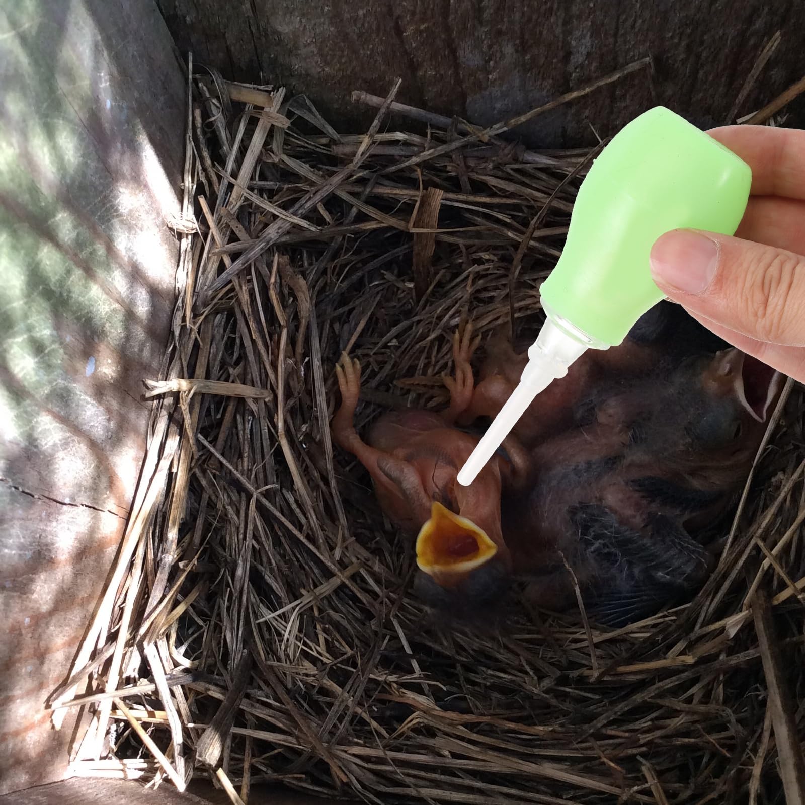 POPETPOP Seringue d'alimentation pour oiseaux, compte-gouttes, pipettes en plastique pour petit animal de compagnie