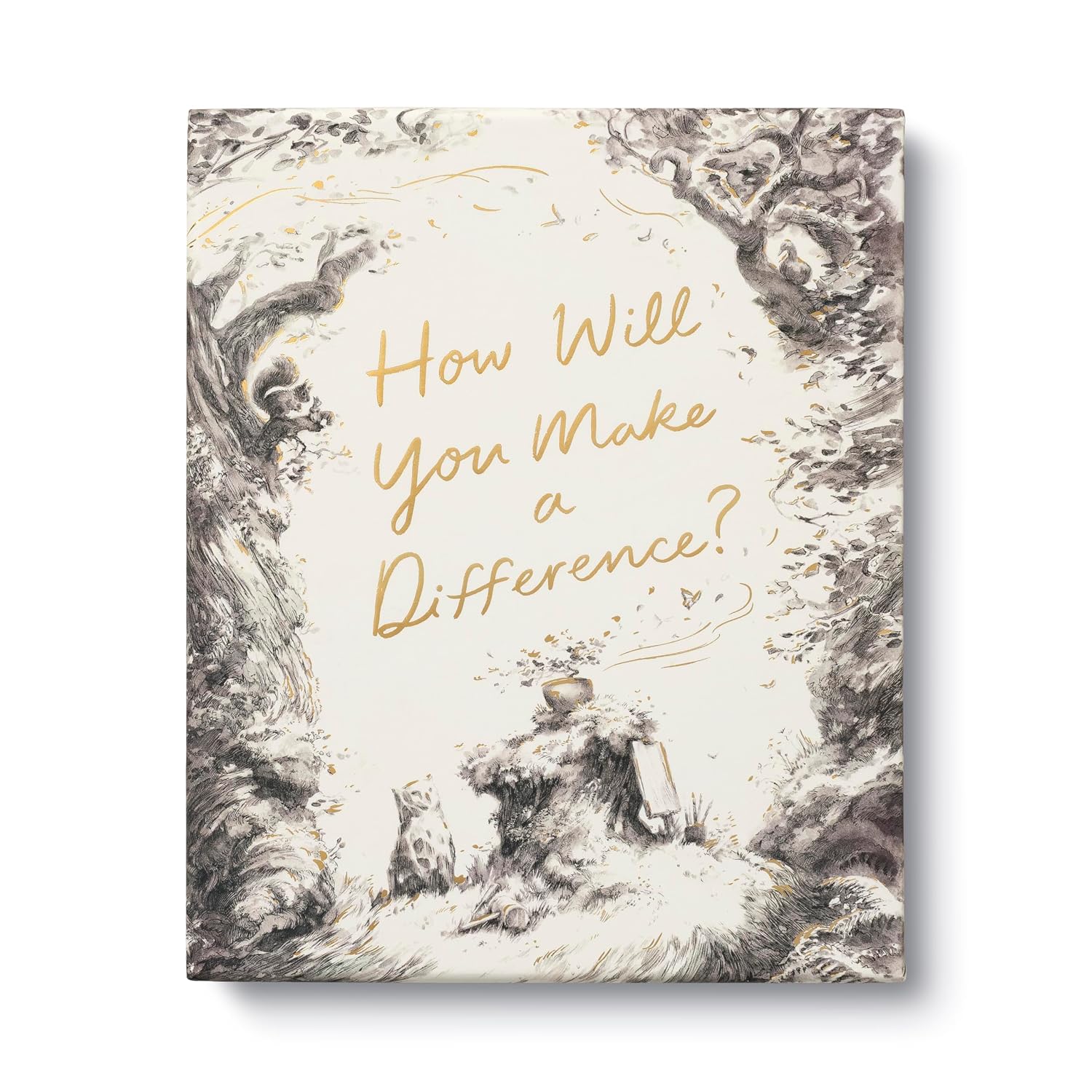 How Will You Make a Difference? Boxed Set: Trying; Noticing; Caring