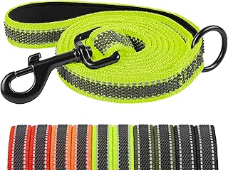 X XBEN Gumierte Hundeleine, Reflektierende 20MM-1,5M Hundeleine mit Bequemem Griff, Strapazierfähiges Nylon Leine, ideal für Alltag und Training, für kleine bis mittelgroße Hunde und Welpen, Grün