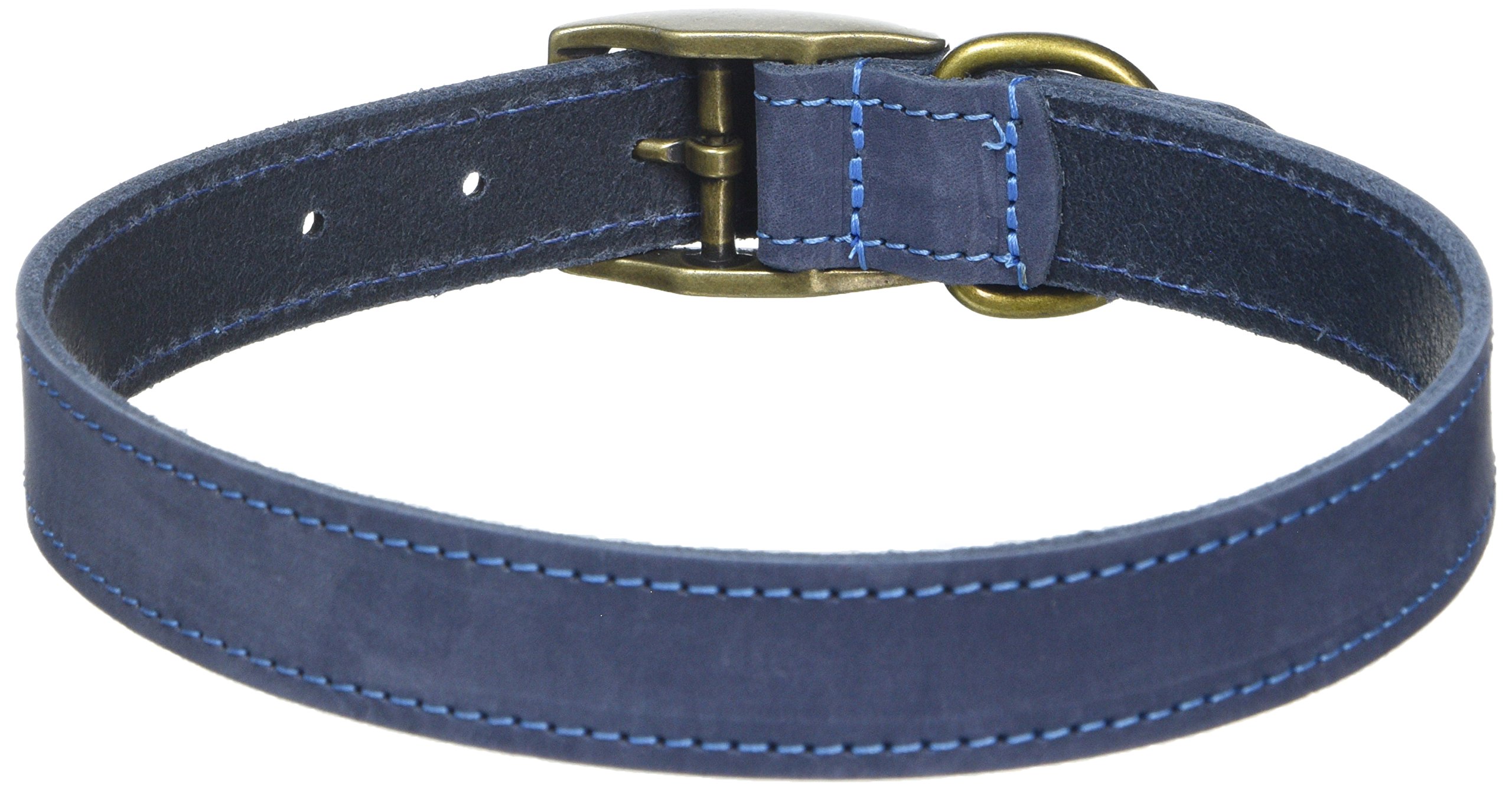 Ancol Timberwolf Comfortable Durable Leather Blue Dog Collar Pet Training Accessory 45-54 CmSize 6 from B&Q