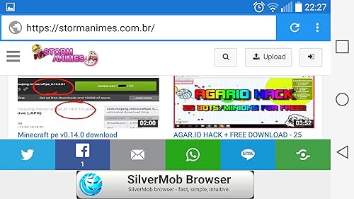 Navegador 4G