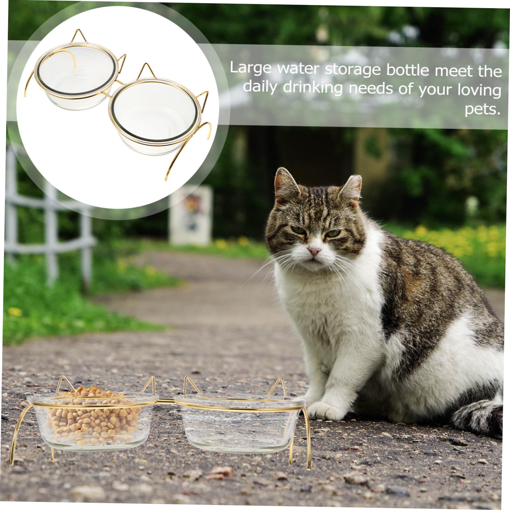 Glas Erhöhter Katzennapf Hilft bei Verdauung mit Nackenschutz Geneigter Futterschale für Katzen und Kleine Hunde