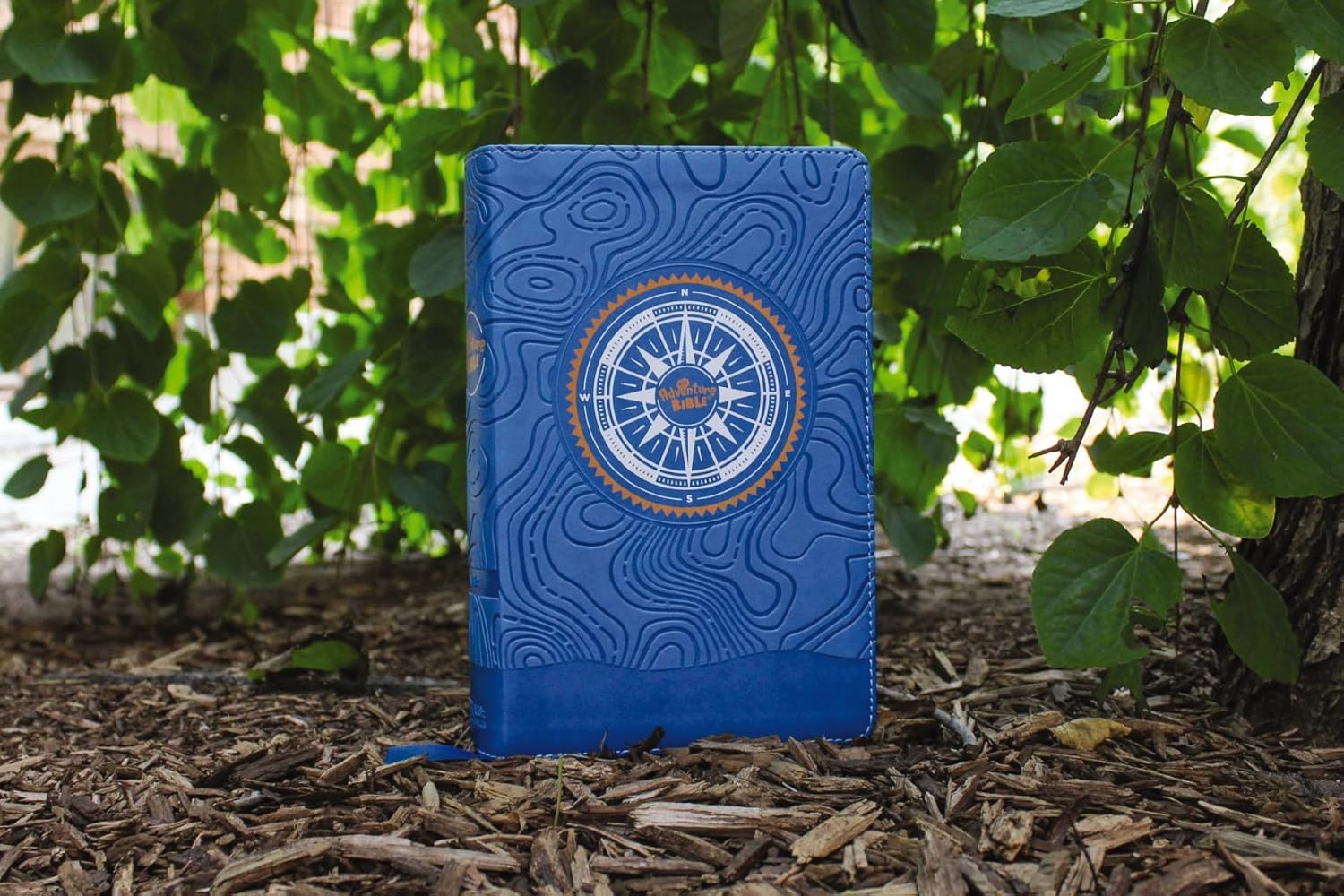 NIV, Adventure Bible, Leathersoft, Blue, Full Color, Thumb Indexed Tabs      Imitation Leather – July 5, 2022