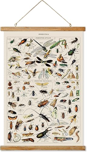 Ovfovy Póster vintage de insectos, estética rústica para habitación, impresiones artísticas retro sin decoloración, impreso en lino con marcos de