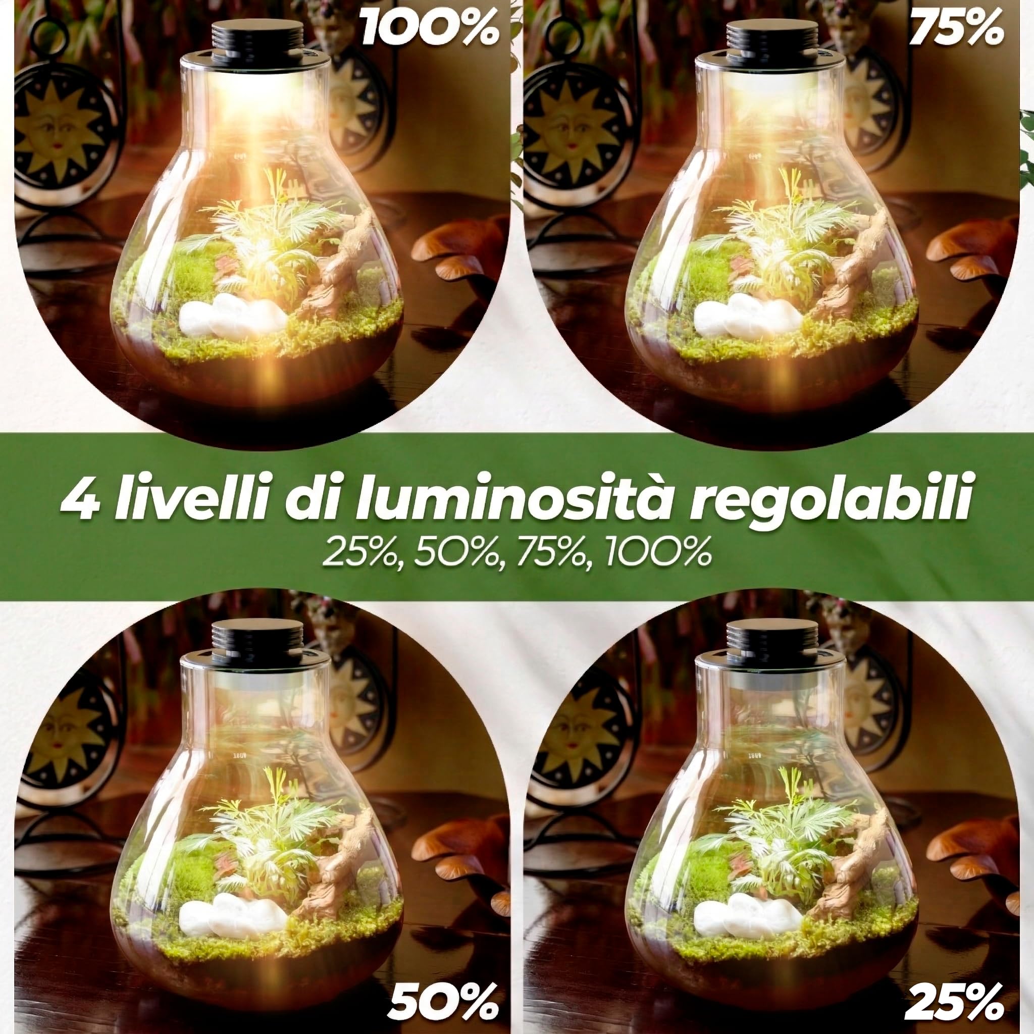 Kit terrario per piante Kit di strumenti contenitore in Borosilicato & luce LED intelligente
