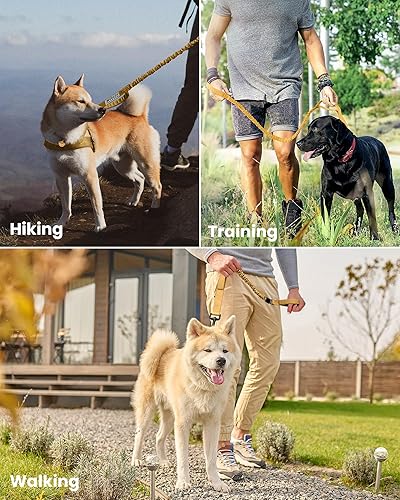 Miniatura 6 de OutdoorMaster Correa elástica para perro, correa resistente para perro con absorción de golpes, 2 asas acolchadas, correa de entrenamiento mejorada