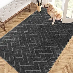 PURRUGS Easy Care Area Rug 4ft x 6ft, Non-Slip Machine Washable Entry Rug, Dog Door Mat, Stain Resistant Accent Rug for Hallway, Bedroom, Living Room and Mudroom, Charcoal
