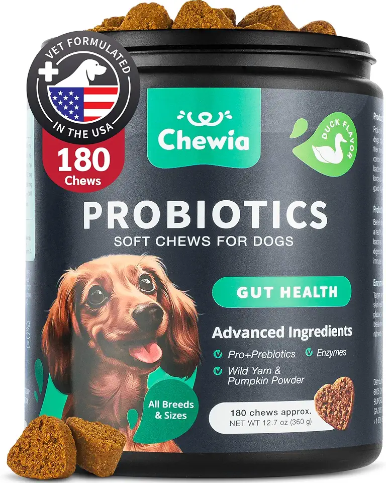 Probiotics For Dogs: Treating Ear Infections Naturally | PetShun