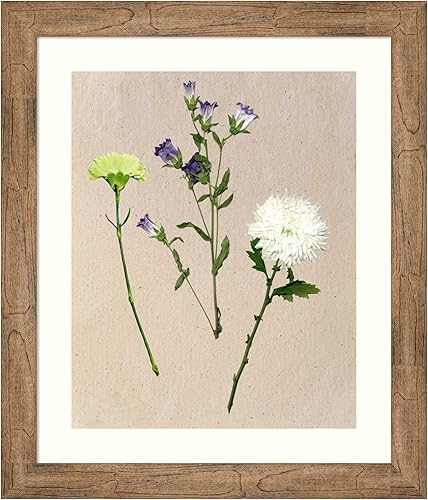 Amanti Art Framed Wall Art Print 28x24 Pretty Pressed Flowers I by Melissa Wang, Flowers Wall Art, Vintage Decor, Medium Poster Painting Artwork for