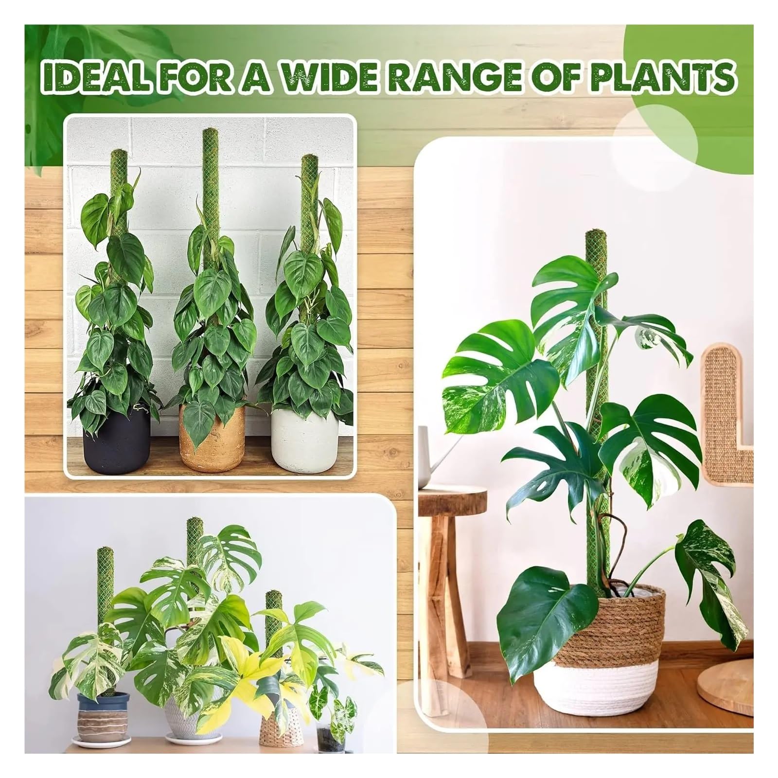 Tuteur Plante Poteau de Mousse empilable Vert 10 pièces for Plantes grimpantes, piquets de Support Extensibles for Plantes d'intérieur