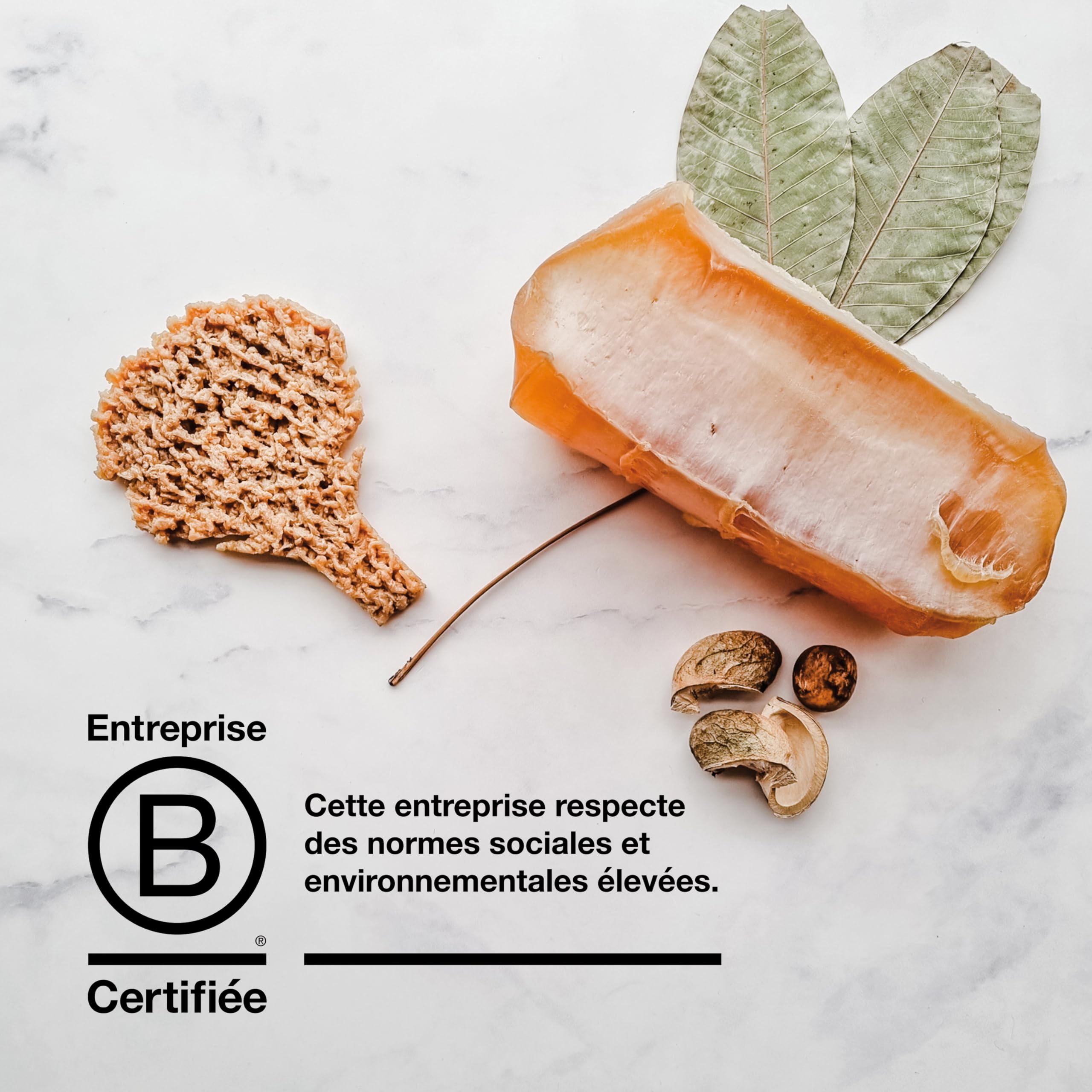 Hevea Tapis de Bain Grand en Caoutchouc Naturel - Conception Scandinave Écologique - Tapis de Baignoire Antidérapant, 299 Ventouses - Sûr et Convivial pour Tous Les Âges (Granite)