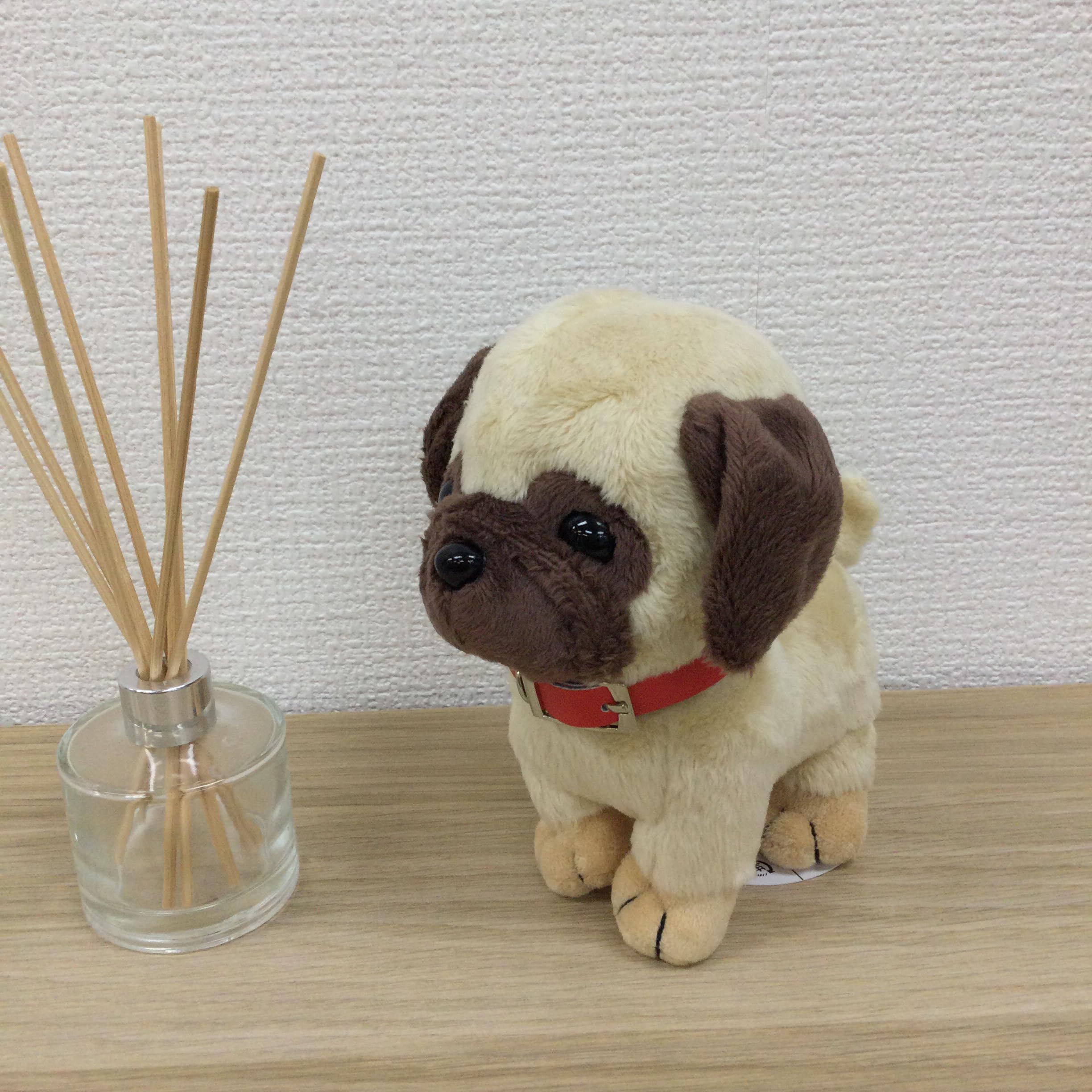 パグちゃん(即購入可即日発送) Amazon.co.jp: キュート販売 ぬいぐるみ ぽていぬちゃん パグちゃん